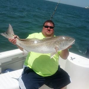 Meet your Posher, Steven